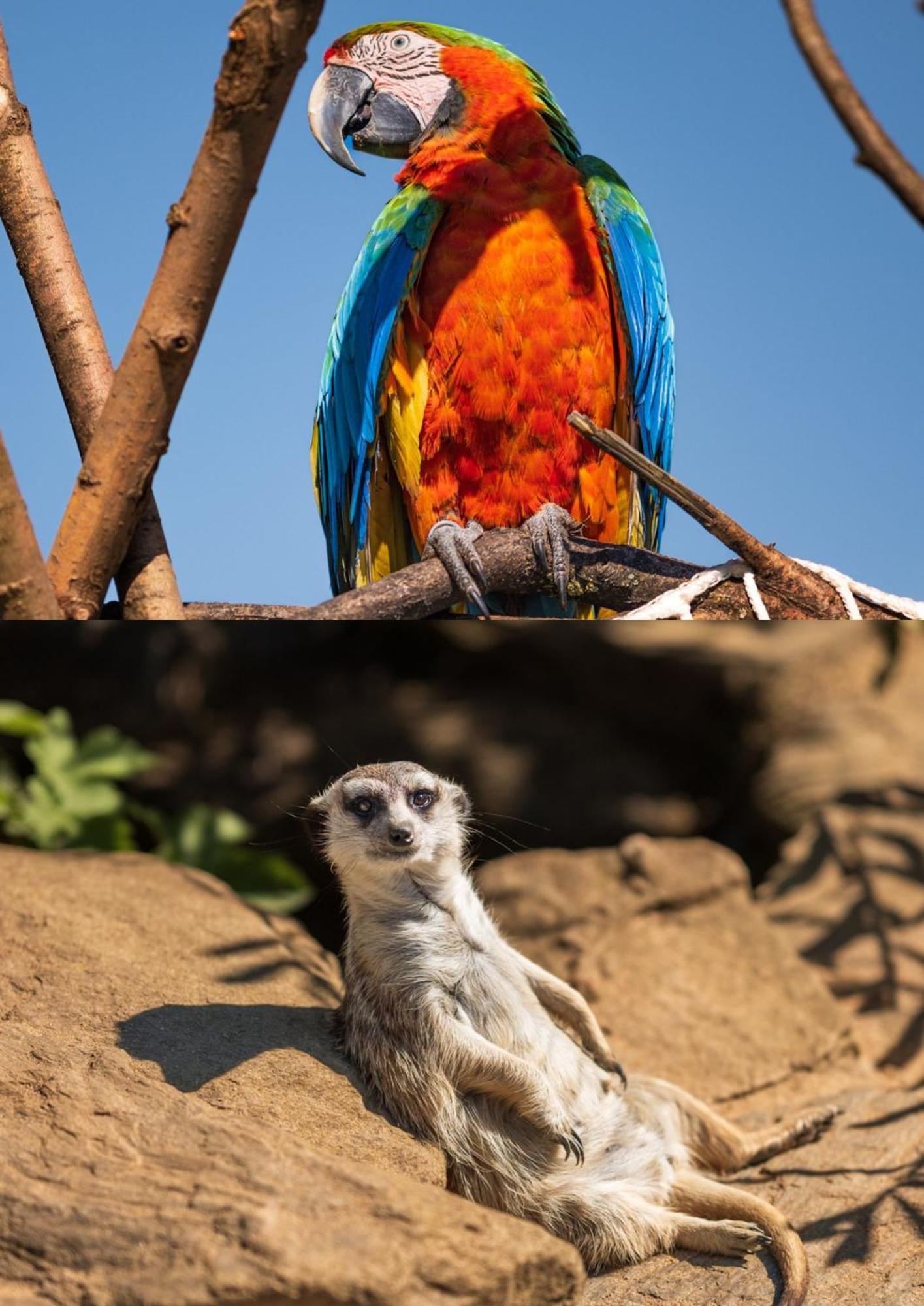 Faunapark Lipova-Lazne Exteriér fotografie